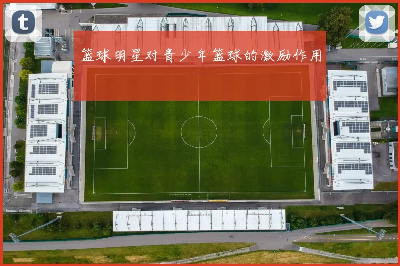篮球明星对青少年篮球的激励作用