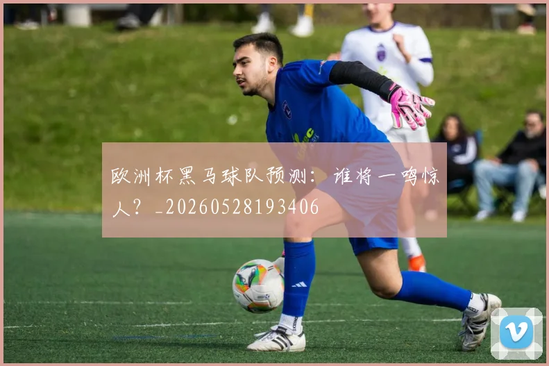 欧洲杯黑马球队预测：谁将一鸣惊人？_20260528193406
