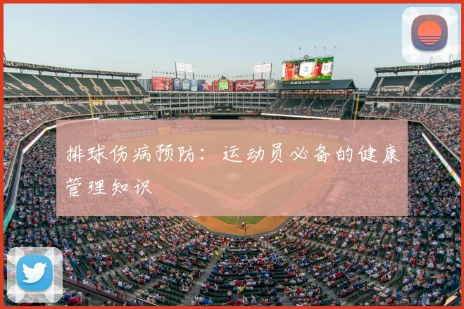 排球伤病预防：运动员必备的健康管理知识