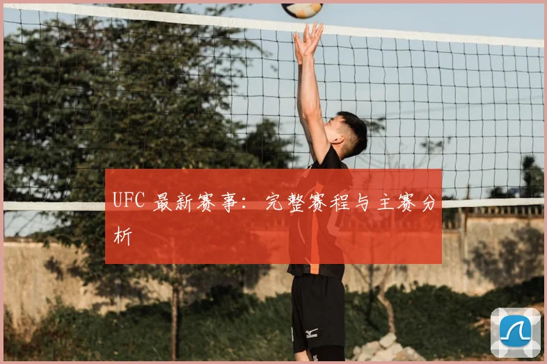 UFC 最新赛事：完整赛程与主赛分析